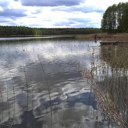 Holiday home Great Holiday In The Middle Of Nature And Right On The Lake, Natac Wielka